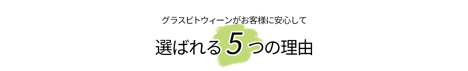 選ばれる5つの理由