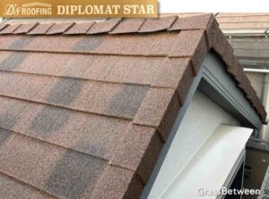 ディーズルーフィング・ディプロマットスター施工画像
