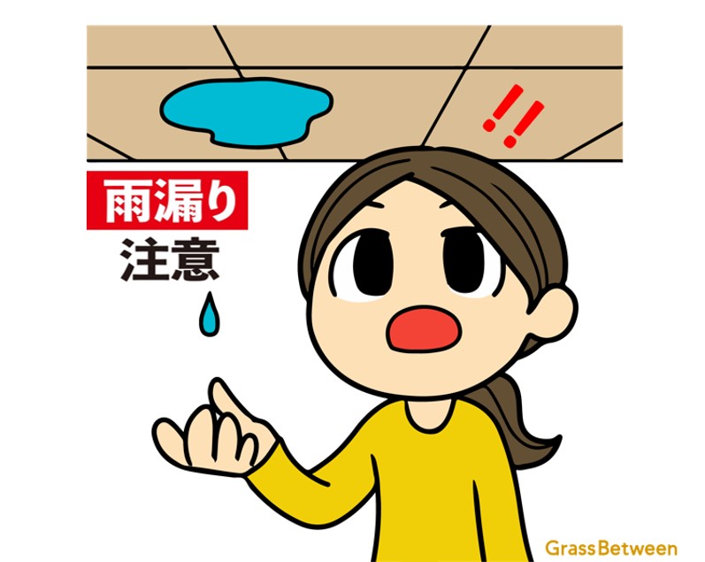 雨漏り注意のコマーシャル画像