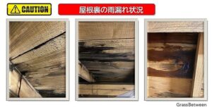 屋根裏の雨漏れ被害画像
