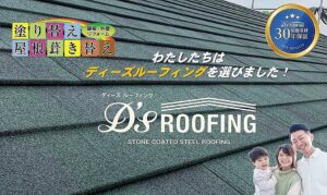 ディーズルーフィング・ディプロマットスターコマーシャル画像