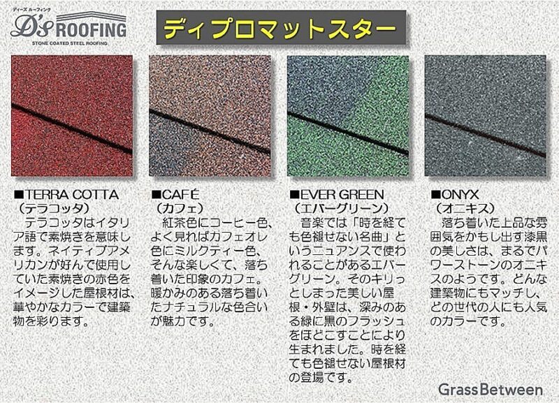 ディーズルーフィング・ディプロマットスターカラーバリエーション画像