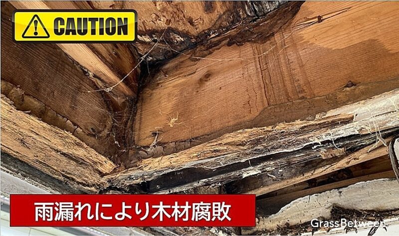 雨漏れによる木材の腐敗画像