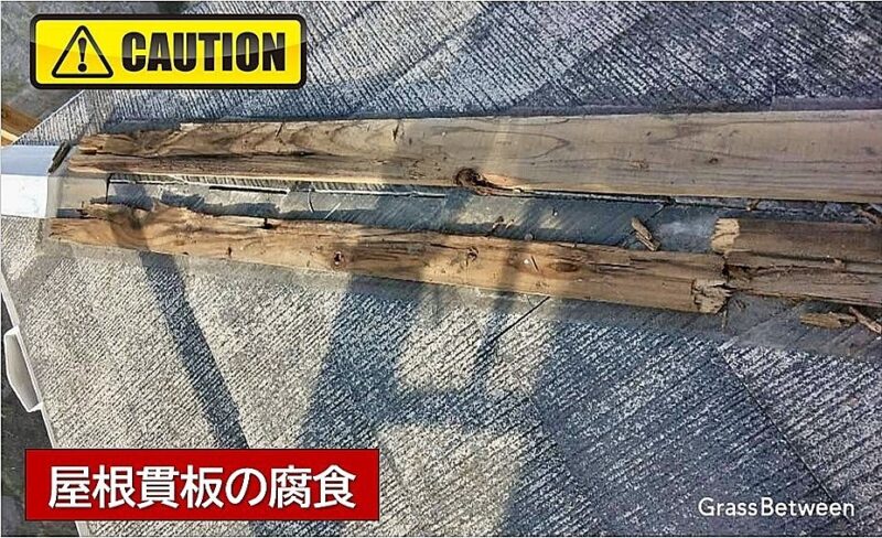 屋根貫板の腐食画像