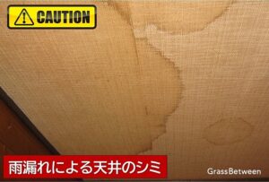 雨漏れによるクロのスシミ画像