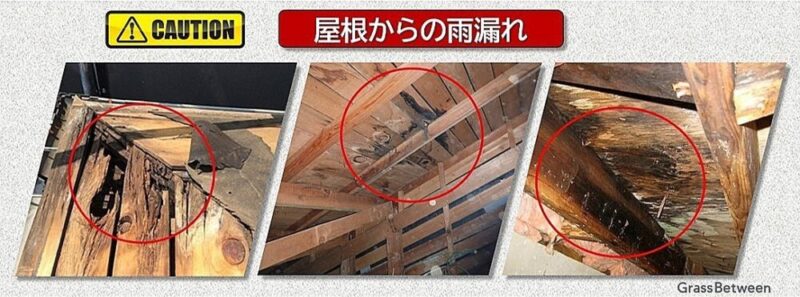 屋根裏の雨漏れ被害画像