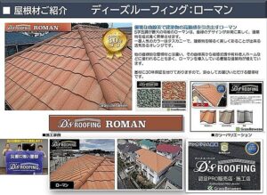 ディーズルーフィング・ローマン概要画像