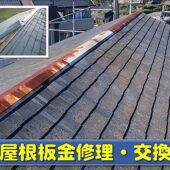 屋根板金交換の画像
