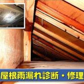 屋根裏の雨漏れの画像