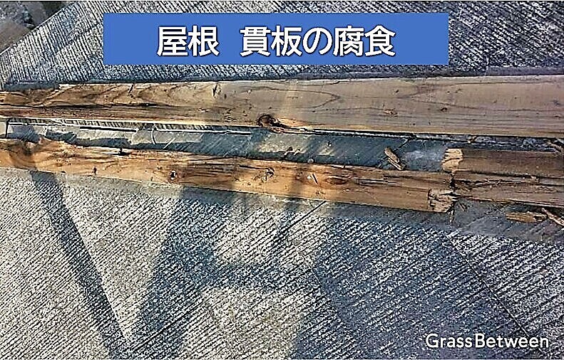 屋根貫板の腐食状況の画像