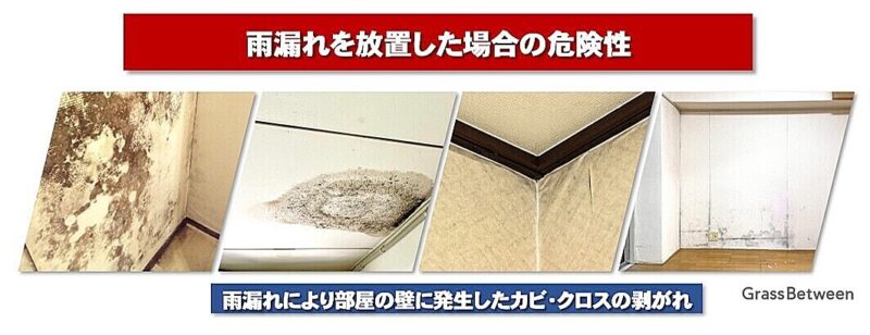 雨漏れによる部屋の壁に発生したカビやクロスの剥がれ画像