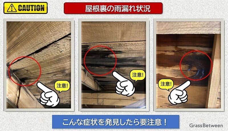 屋根裏の雨漏れの様子画像