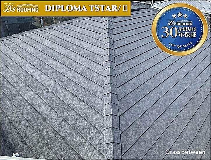 ディーズルーフィング「ディプロマットスター/Ⅱ」コマーシャル画像